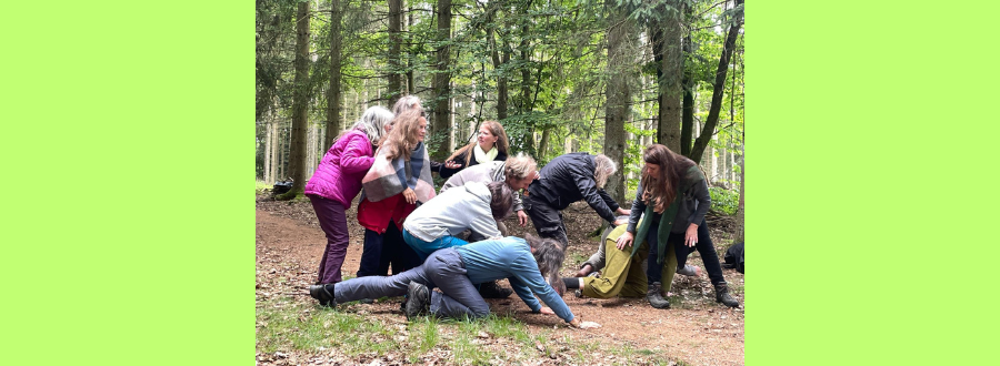 Wir in Balance